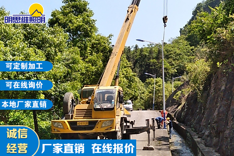 重庆道路路灯杆现场安装案列