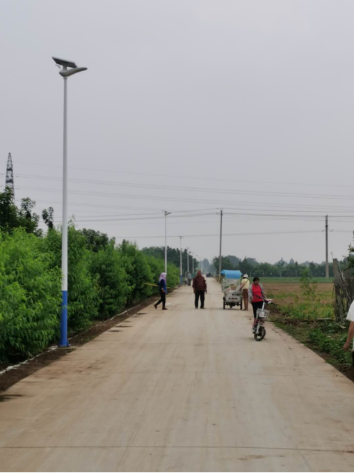 LED路灯助力齐都西关小麦丰收