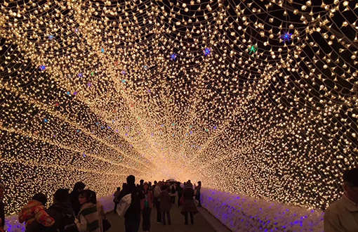 变幻多彩的城市灯光，与众不同的夜间景象-明思维照明