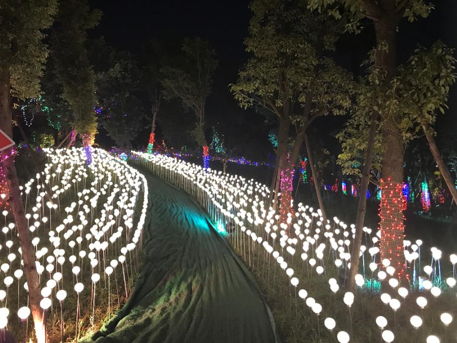 瀚沃灯饰助力成都芦苇灯点亮绿道城市公园-明思维照明